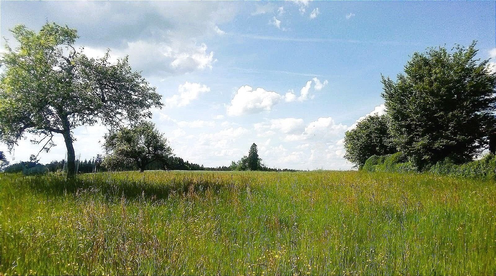 Grundstück zum Kauf 1.189 m²<br/>Grundstück Liggersdorf Hohenfels 78355