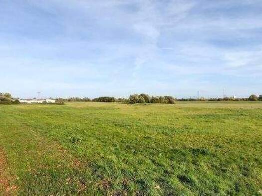 Grundstück zum Kauf provisionsfrei 20.000 m² Grundstück Groß Lüdershagen Wendorf 18442