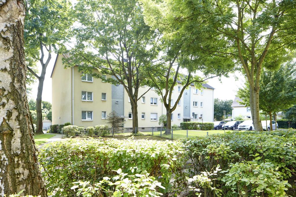 Wohnung zur Miete 539 € 3 Zimmer 70 m²<br/>Wohnfläche 2.<br/>Geschoss Westfeldstraße 33 Annen - Mitte - Nord Witten 58453