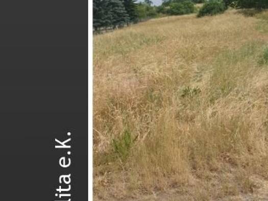 Grundstück zum Kauf 85.000 € 715 m² Grundstück Hohensaaten Bad Freienwalde (Oder) 16259