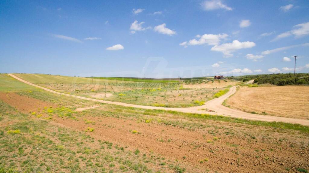 Landwirtschaftliche Fläche zum Kauf 55.000 € Nea Triglia