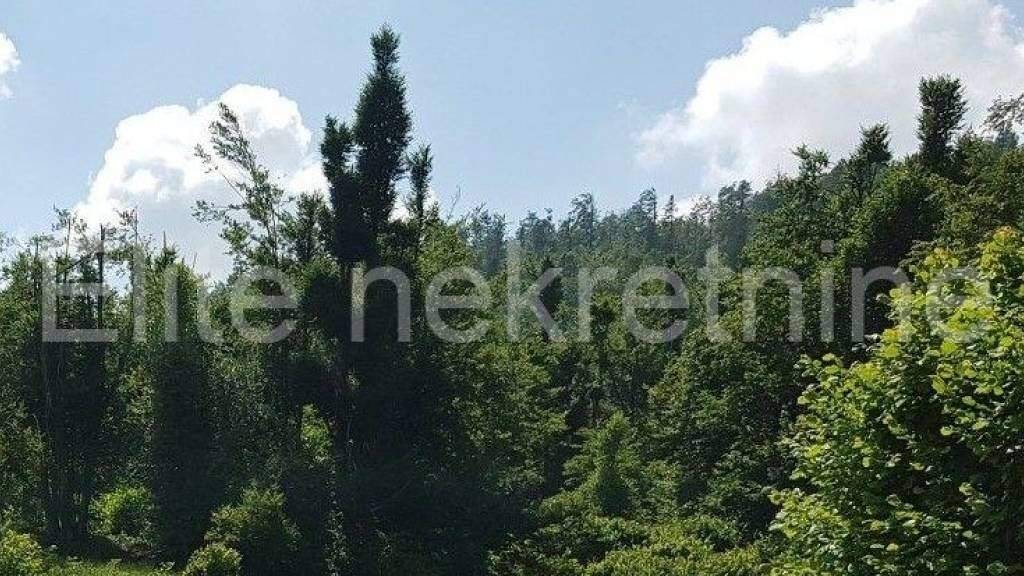 Land-/Forstwirtschaft zum Kauf 28.000 € Mrkopalj