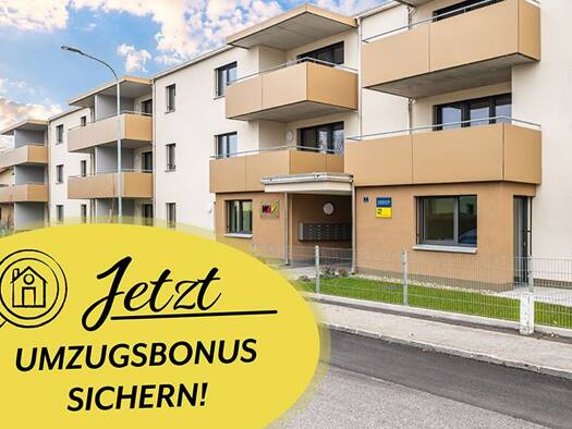 Wohnung zur Miete 640 € 59,8 m² Arbeiterheimgasse 1/7 Gmünd 3950
