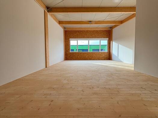 Lagerhalle zum Kauf - Erstbezug provisionsfrei 298.000 € 171 m² Lagerfläche Bietingen Gottmadingen 78244