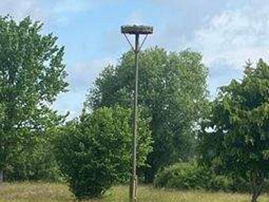 Bauernhof zum Kauf 255.000 € 6.180 m² Grundstück Sorno Finsterwalde 03238