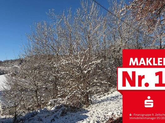 Grundstück zum Kauf 30.500 € 1.016 m² Grundstück frei ab sofort Diedenshausen Bad Berleburg 57319