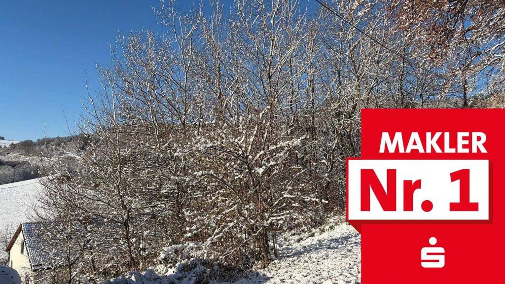 Grundstück zum Kauf 30.500 € 1.016 m² Grundstück frei ab sofort Diedenshausen Bad Berleburg 57319