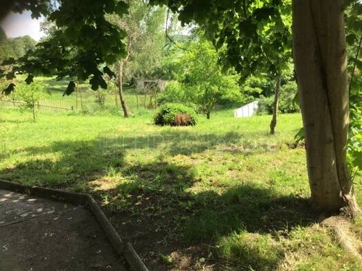 Einfamilienhaus zum Kauf 57.000 € 6 Zimmer 130 m² 730 m² Grundstück Zetzscha Altenburg 04600