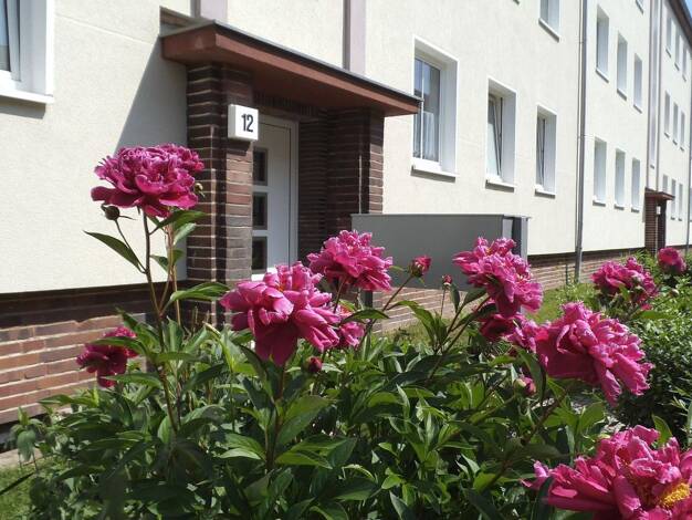 Wohnung zur Miete 370 € 2 Zimmer 49 m² 2. Geschoss frei ab 01.09.2026 Eisnerstraße 8 Stadtfeld West Stadtfeld West 39110