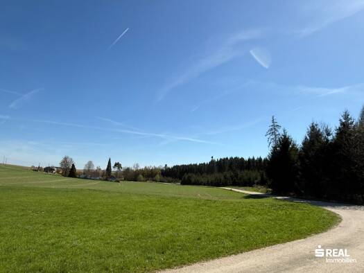 Land-/Forstwirtschaft zum Kauf 65.000 € 3.517 m² Grundstück Buchkirchen 4611