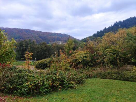Grundstück zum Kauf 350.000 € 1.195,9 m² Grundstück frei ab sofort Badenweiler 79410