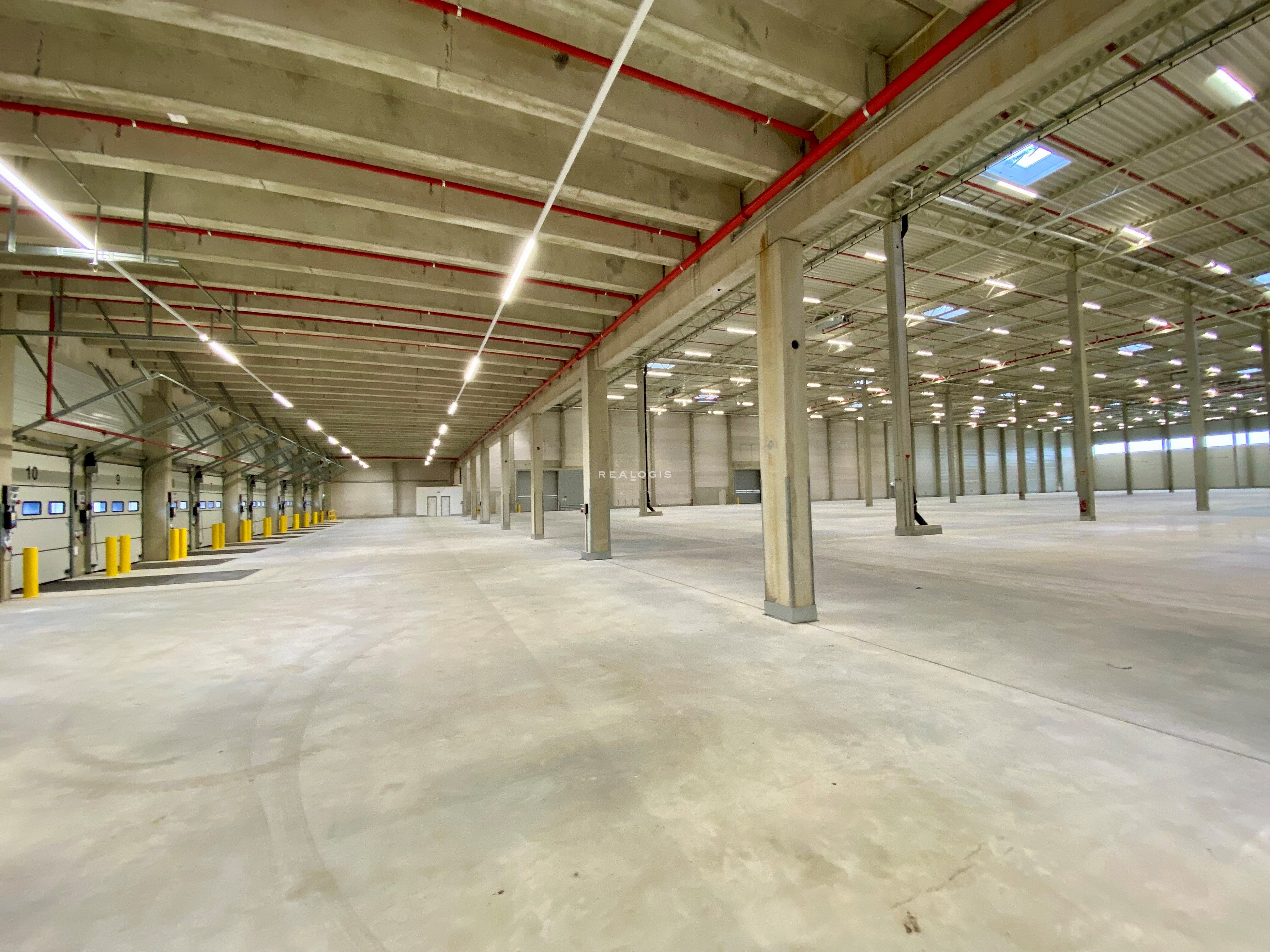 Halle/Industriefläche zur Miete provisionsfrei 31.392 m²<br/>Lagerfläche ab 10.000 m²<br/>Teilbarkeit Elsdorf Elsdorf 27404