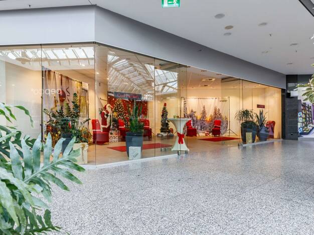 Ladenfläche zur Miete provisionsfrei 1.990 € 66,4 m² Verkaufsfläche Landgrabenstraße 6a Nordhausen 99734