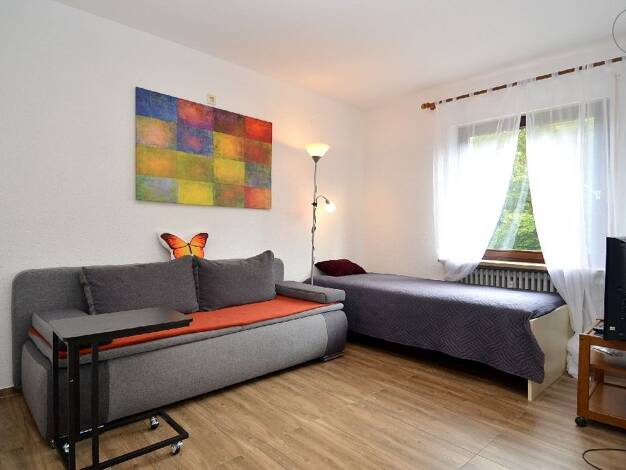 Wohnung zur Miete auf Zeit 850 € 1 Zimmer 33 m² frei ab sofort Bad Bellingen Bad Bellingen 79415