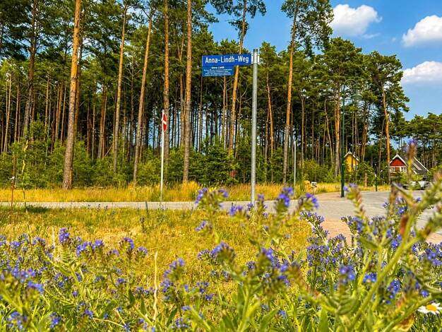 Grundstück zum Kauf provisionsfrei 205.000 € 960 m² Grundstück Anna-Lindh-Weg Borkwalde 14822