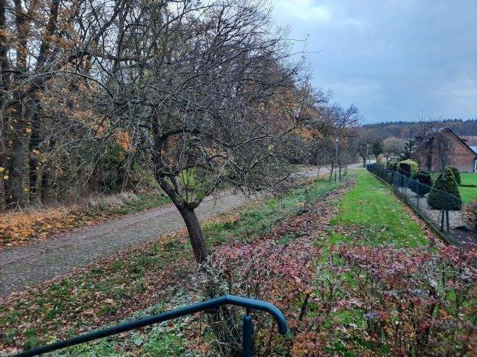 Immobilie in Bad Bevensen - Bad Bevensen - Großzügige 2-Zimmer-Erdgeschosswohnung in 2-Parteien-Haus – überdachte Terrasse, Garage & ruhige Lage  - Bild 3