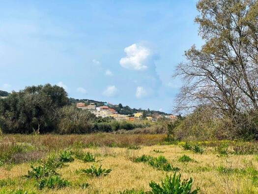 Land-/Forstwirtschaft zum Kauf 230.000 € 7.497 m² Grundstück Korfu