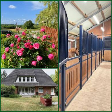 Haus zum Kauf 975.000 € 10 Zimmer 255 m² 13.266 m² Grundstück Schnarup-Thumby 24891