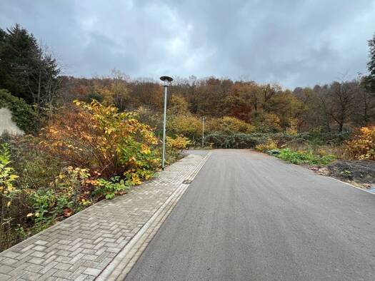 Grundstück zum Kauf 135.000 € 365 m² Grundstück St. Ingbert 66386