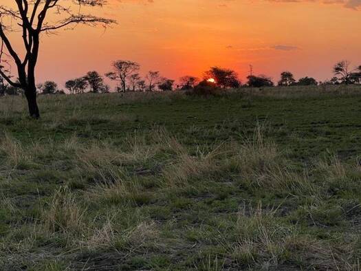 Grundstück zum Kauf 117.000 € 467 m² Grundstück Metelen 48629