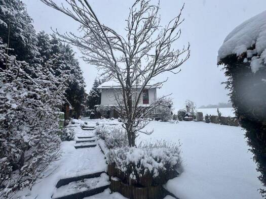 Einfamilienhaus zum Kauf 449.000 € 5 Zimmer 150 m² 517 m² Grundstück Niederkaufungen Kaufungen 34260