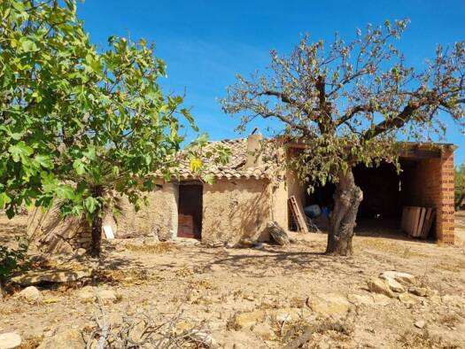 Acker-/Waldstück zum Kauf 38.000 € Tivissa 43746