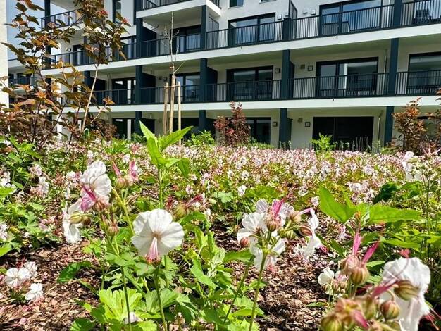 Wohnung zum Kauf provisionsfrei 267.900 € 2 Zimmer 53,1 m² frei ab sofort Burglengenfeld Burglengenfeld 93133