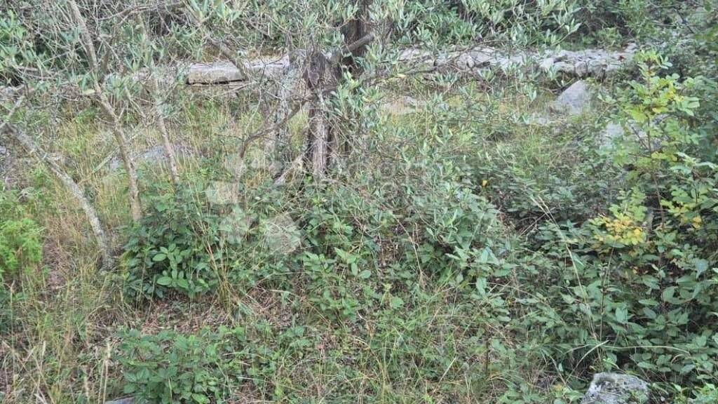 Land-/Forstwirtschaft zum Kauf 12.600 € Kali