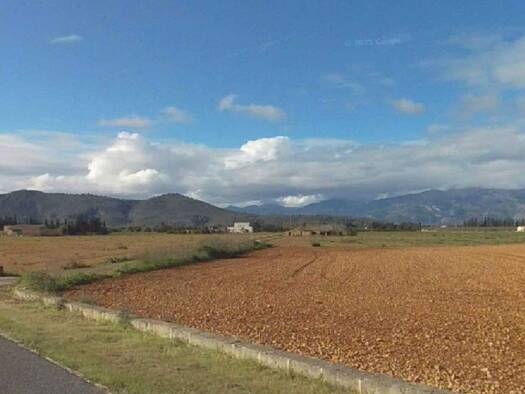 Grundstück zum Kauf 1.200.000 € 22.033 m² Grundstück Llubi 07430