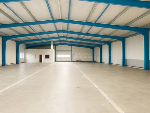 Lagerhalle zur Miete 5.000 € 1.000 m² Lagerfläche Wismar 23966