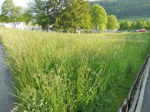 Grundstück zum Kauf 110.000 € 800 m² Grundstück Im Ayachtal Margrethausen Albstadt 72459