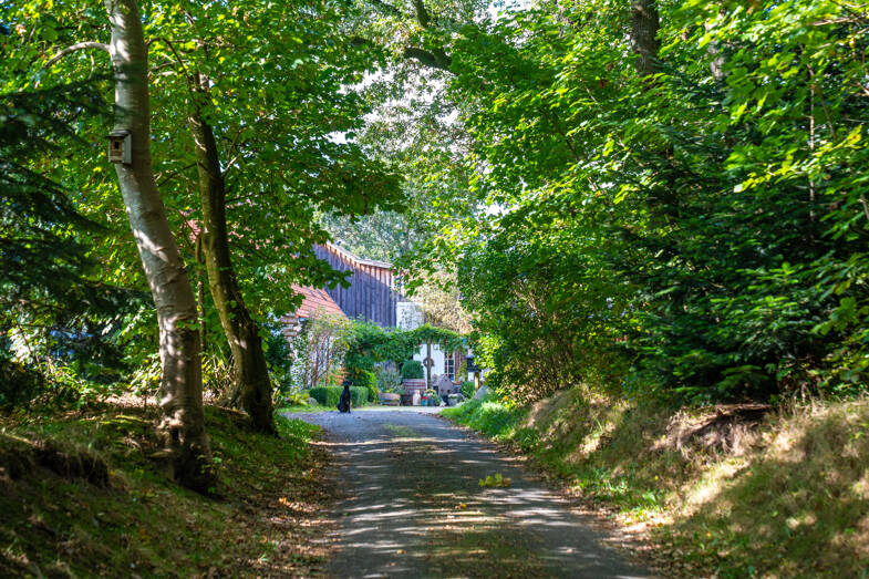 Haus zum Kauf 15 Zimmer 630 m² 11.000 m² Grundstück Högel 25858