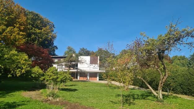 Villa zum Kauf 350 m² 3.833 m² Grundstück frei ab sofort Mittelberg 8 Bad Saulgau Bad Saulgau 88348