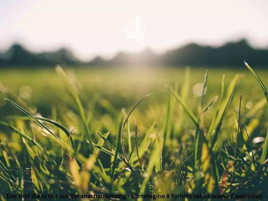 Einfamilienhaus zum Kauf 3.900.000 € 4 Zimmer 350 m² Aldein 39040