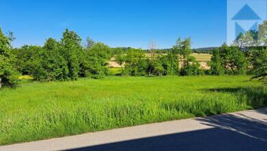 Grundstück zum Kauf 2.700 m² Grundstück Steinach Steinach 94377