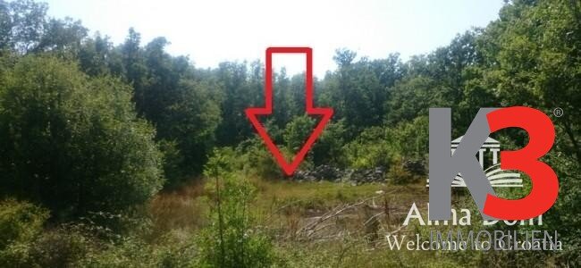 Land-/Forstwirtschaft zum Kauf 170.000 € 56.000 m²<br/>Grundstück Labin 52220