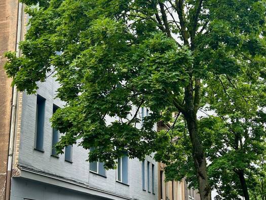 Mehrfamilienhaus zum Kauf als Kapitalanlage geeignet 795.000 € 29 Zimmer 602 m² 519 m² Grundstück Innenstadt Ahlen 59227