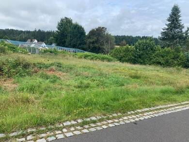 Grundstück zum Kauf 64.000 € 918 m² Grundstück Aign Kulmain 95508