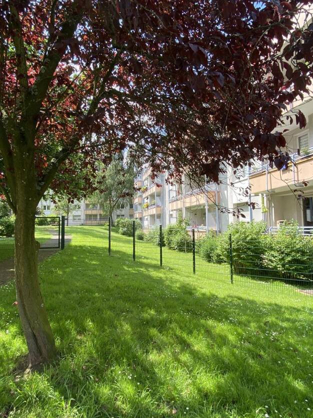 Wohnung zum Kauf provisionsfrei 145.500 € 2 Zimmer 53,2 m² EG Holsterhausen Essen 45147
