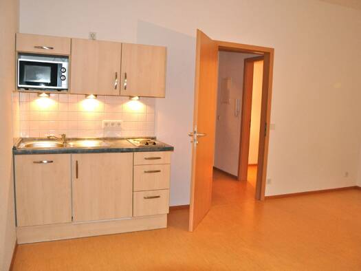 Wohnung zur Miete 460 € 1 Zimmer 33,4 m² frei ab 15.09.2026 Gießen Gießen 35392