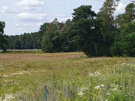 Grundstück zum Kauf provisionsfrei 560.000 € 525 m² Grundstück Möhrendorf 91096