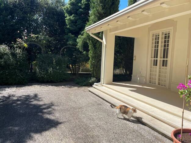 Villa zum Kauf 650.000 € 13 Zimmer 240 m² 10.000 m² Grundstück Villafranca komplett schlüsselfertig Villafranca 54028