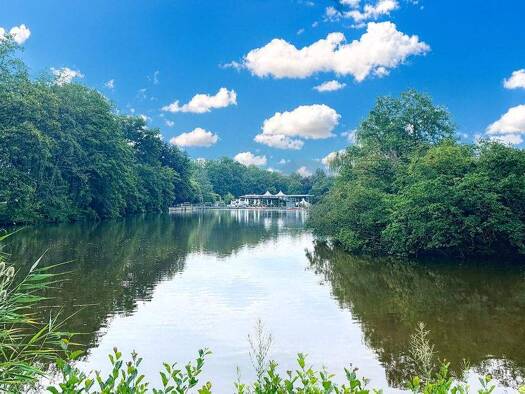 Wohnung zur Miete - Erstbezug 699 € 2 Zimmer 45,9 m² EG frei ab 01.03.2026 Unritzstraße 38 Rabenstein Chemnitz 09117