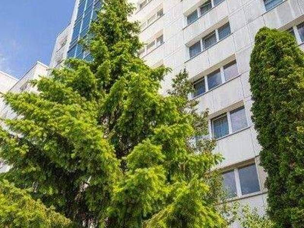 Wohnung zur Miete 375 € 2 Zimmer 50,7 m² 1. Geschoss frei ab 30.12.2025 Prohliser Allee 21 Prohlis-Süd Dresden 01239