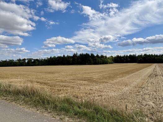 Land-/Forstwirtschaft zum Kauf 236.000 € 36.429 m² Grundstück Greding Greding 91171