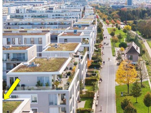 Terrassenwohnung zur Miete 2.200 € 3 Zimmer 100 m² Geschoss EG/4 frei ab sofort Pfaffengrund Heidelberg 69115