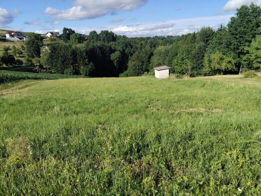 Grundstück zum Kauf 95.000 € 4.000 m² Grundstück Burgauberg-Neudauberg 7574