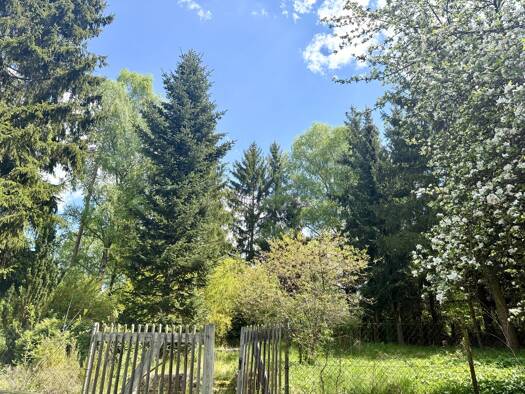 Grundstück zum Kauf 295.000 € 1.292 m² Grundstück frei ab sofort Glocke Bayreuth 95447