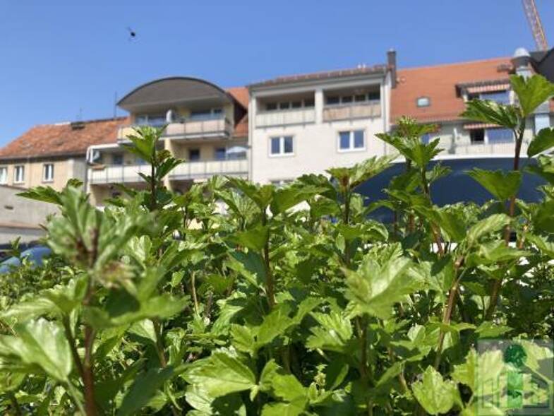 Wohnung zur Miete 822 € 4 Zimmer 114,1 m² Innenstadt Bautzen 02625