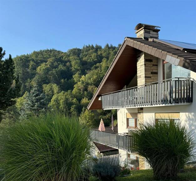 Mehrfamilienhaus zum Kauf als Kapitalanlage geeignet 870.000 € 8 Zimmer 275 m² 689 m² Grundstück Lautenbach Gernsbach 76593